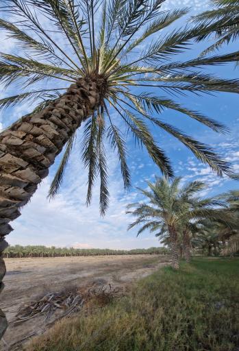 عکس اهرم
