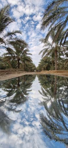 عکس اهرم
