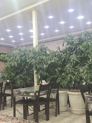عکس رستوران گلخانه علی 110