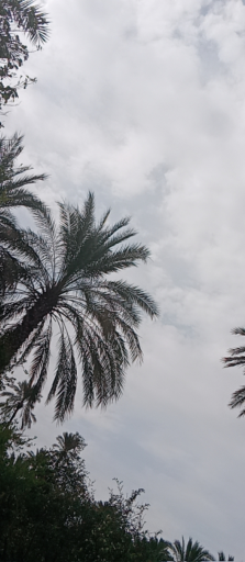 عکس اهرم