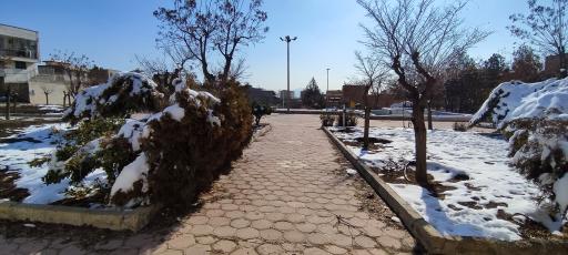 عکس بوستان دیبا