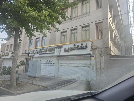 عکس خشک شویی کاج پلاس