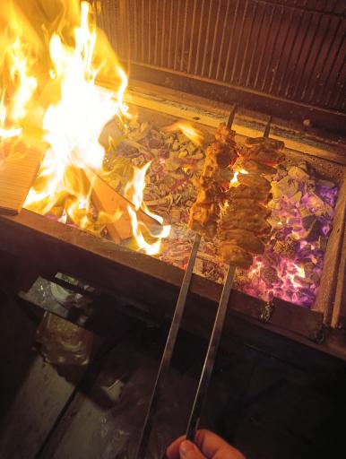 عکس رستوران نگارخاتون