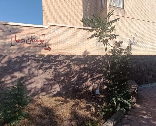 عکس بوستان دیبا