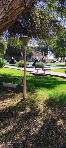 عکس پارک شهرداری