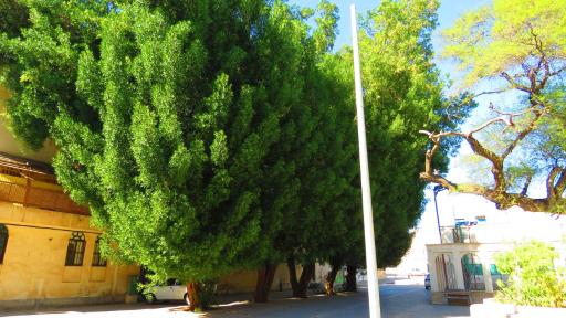 عکس دانشکده هنر و معماری دانشگاه خلیج فارس بوشهر