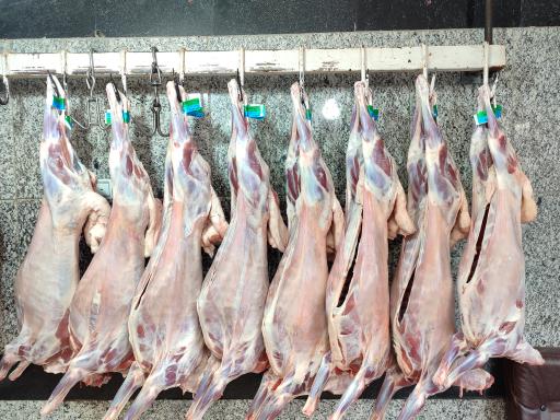 عکس سوپر گوشت فجر