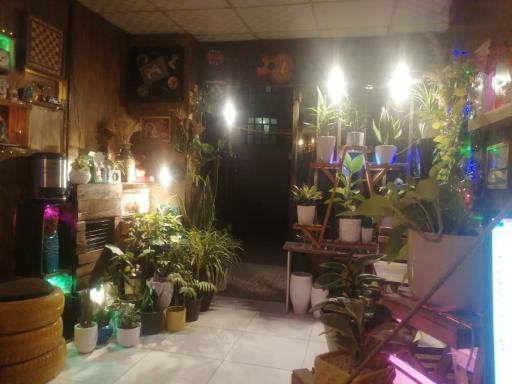 عکس کافه گلدون 