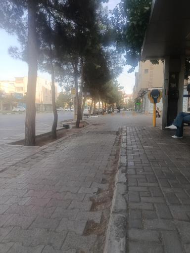عکس  شهید فلاحی 33