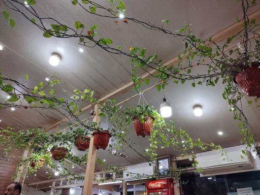 عکس طباخی کیانوش