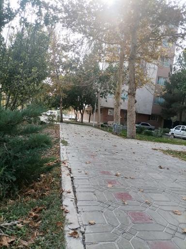 عکس پارک جانبازان