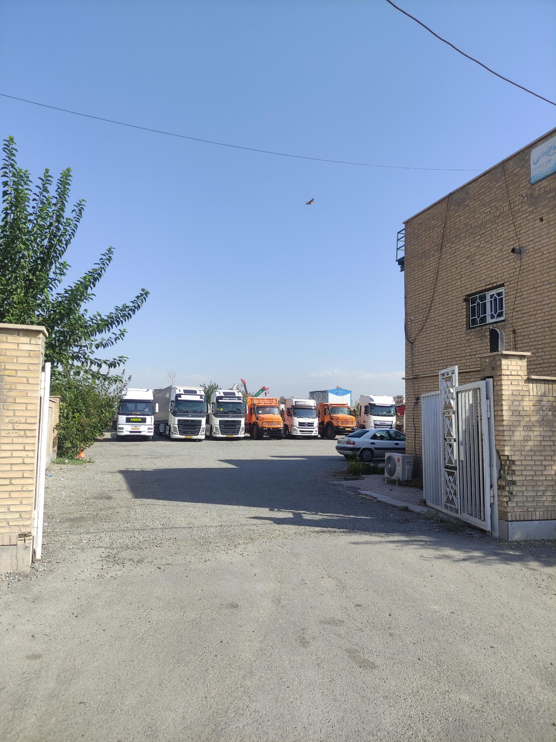 عکس نمایشگاه میرکاظمی