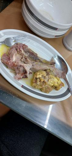 عکس طباخی کیانوش