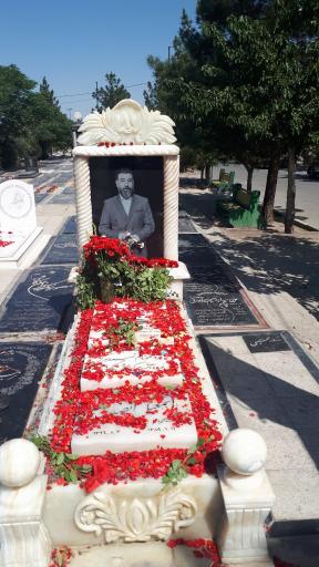 عکس مزار علی انصاریان