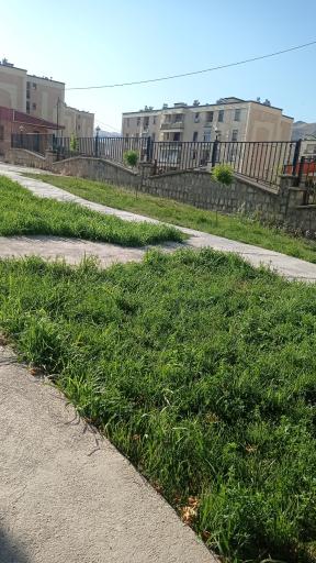 عکس مجتمع 480 واحدی بهار