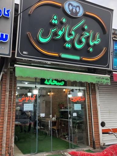 عکس طباخی کیانوش