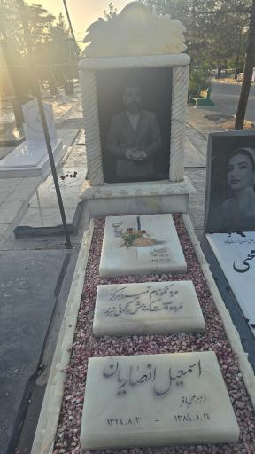 عکس مزار علی انصاریان