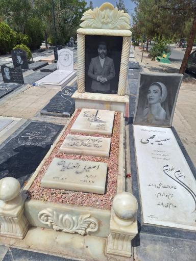 عکس مزار علی انصاریان