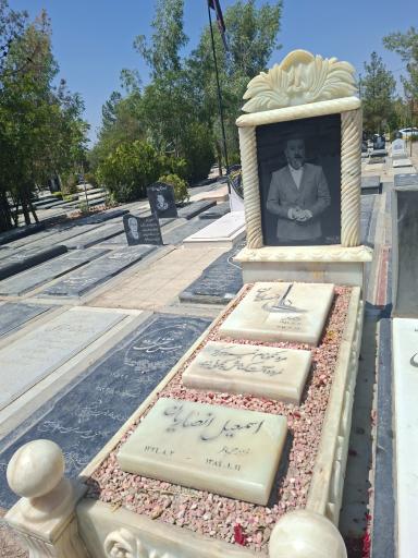 عکس مزار علی انصاریان