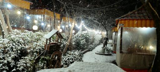 عکس رستوران شایگان