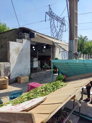 عکس میوه جاوید