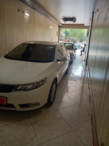 عکس تشخیص رنگ استاد حسن