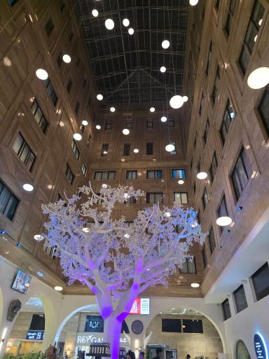 عکس هتل ری (دولت آباد)