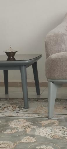 عکس مبلمان تیکامون 
