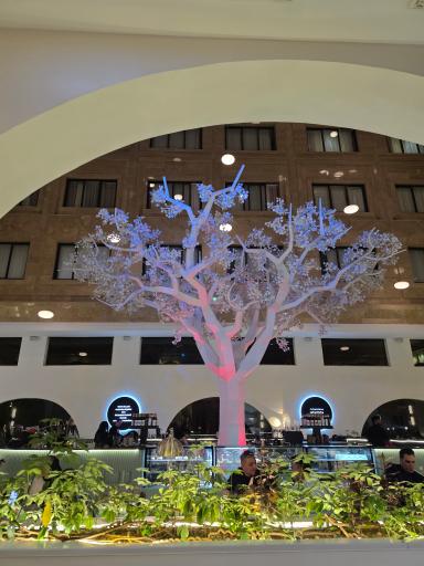 عکس هتل ری (دولت آباد)