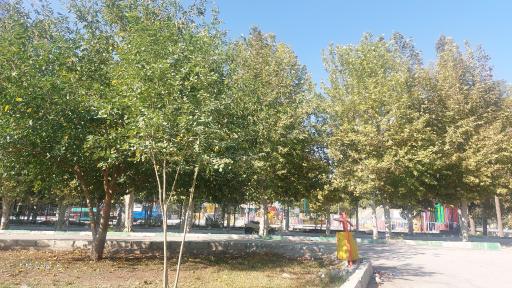 عکس بوستان کوثر