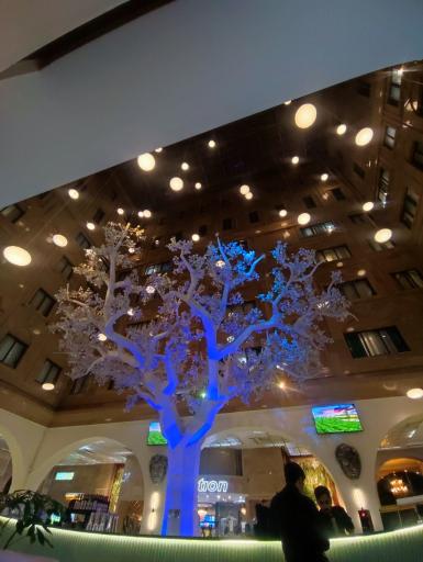 عکس هتل ری (دولت آباد)