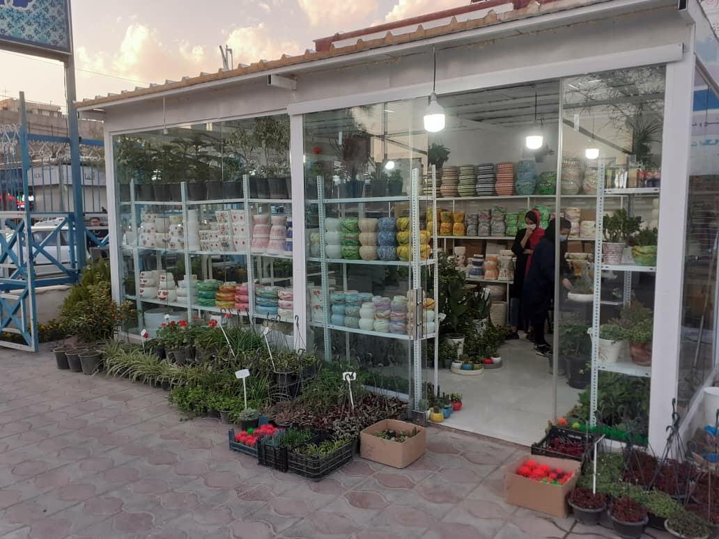 عکس گل فروشی سهیل