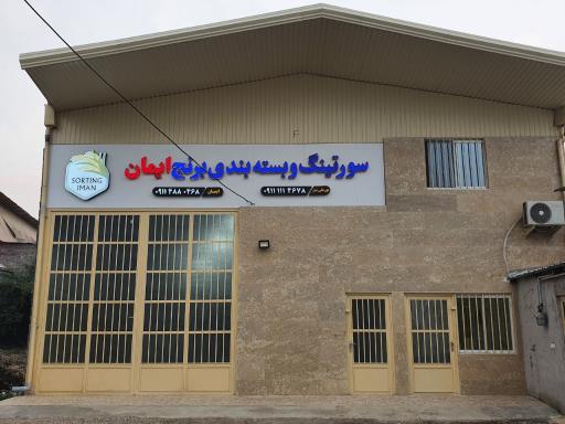 عکس سورتینگ و بسته بندی برنج ایمان