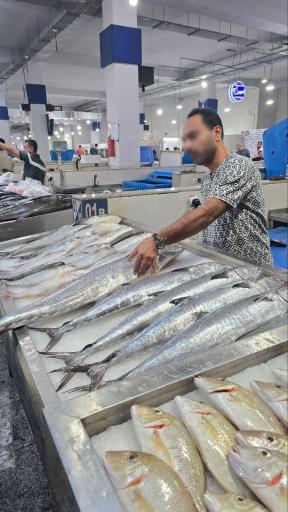عکس فروشگاه ماهی بندر