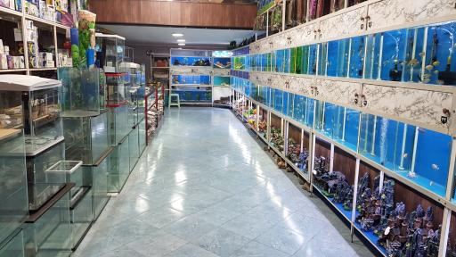 عکس آکواریوم آرام