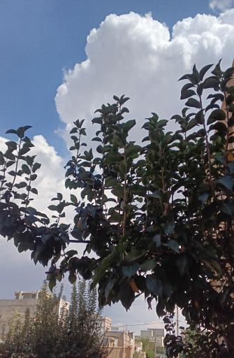 عکس خراسان شمالی