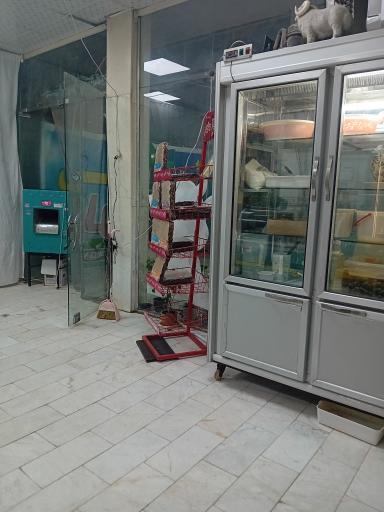 عکس لبنیات  بهار 