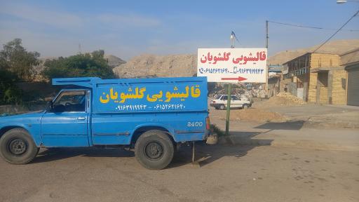 عکس قالیشویی گلشویان 