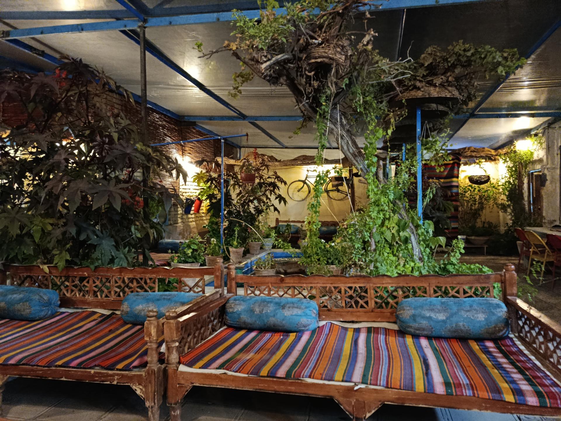 عکس کافه درویش