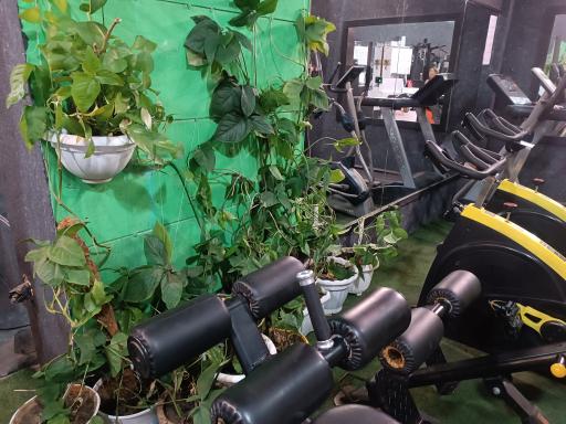 عکس باشگاه بدنسازی بانوان ماهورا