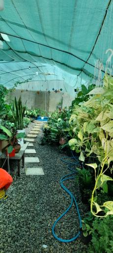 عکس کافه گل ماه من