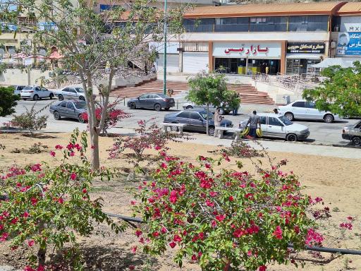 عکس مجتمع تجاری تیس