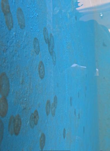 عکس فروشگاه نانو پارس گرجی