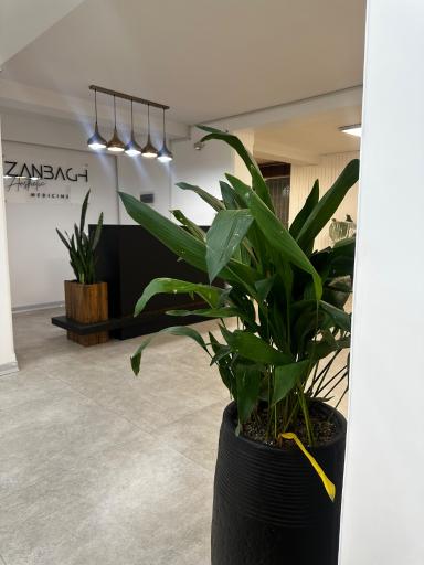 عکس ساختمان پزشکان زنبق