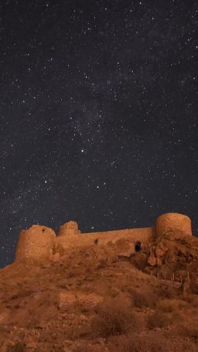 عکس شیر قلعه شهمیرزاد