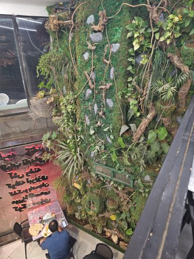 غذای سالم هرخونه