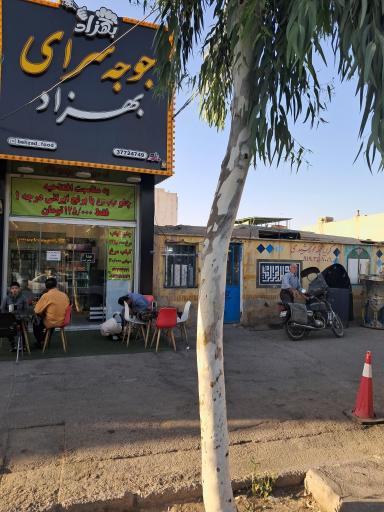 عکس جوجه سرای بهزاد