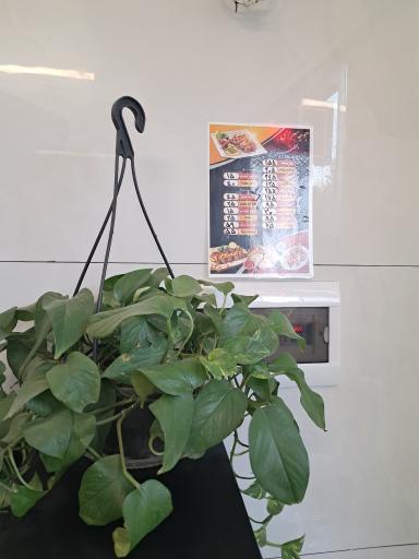 عکس جوجه سرای بهزاد