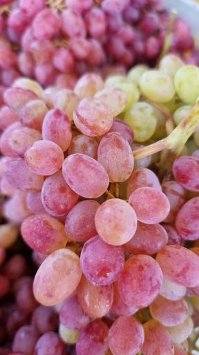 عکس هایپر میوه نارنج