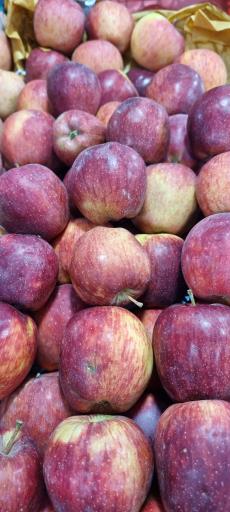 عکس هایپر میوه نارنج